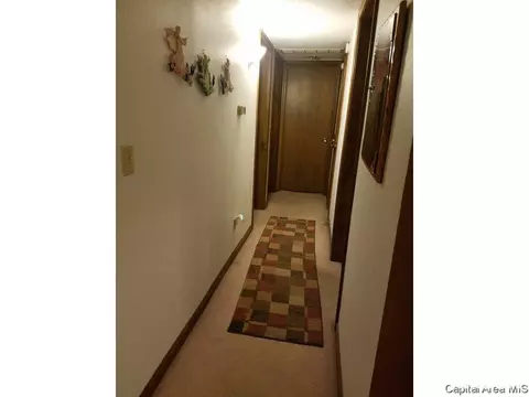 3006 Taylor 47, Springfield, IL 62703 photo 13