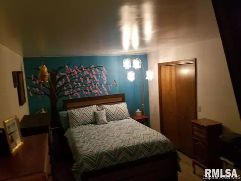 3006 Taylor 47, Springfield, IL 62703 photo 9