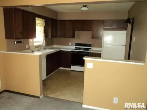208 E Monmouth St, Abingdon, IL 61410 photo 2