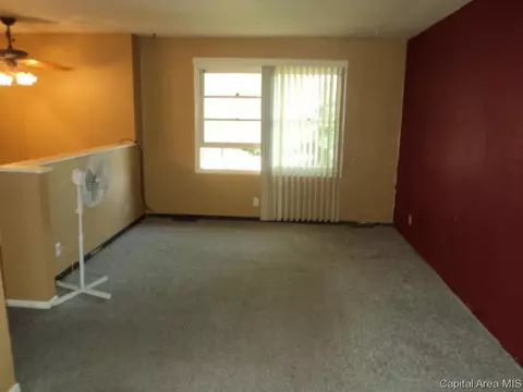208 E Monmouth St, Abingdon, IL 61410 photo 3