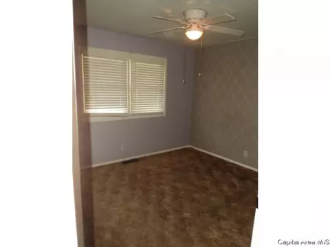 208 E Monmouth St, Abingdon, IL 61410 photo 7