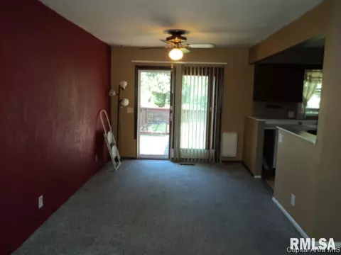 208 E Monmouth St, Abingdon, IL 61410 photo 4