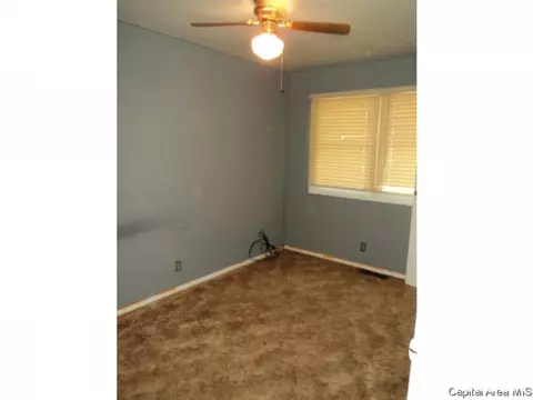 208 E Monmouth St, Abingdon, IL 61410 photo 8