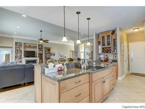 2321 Grey Stone Dr, Springfield, IL 62704 photo 17