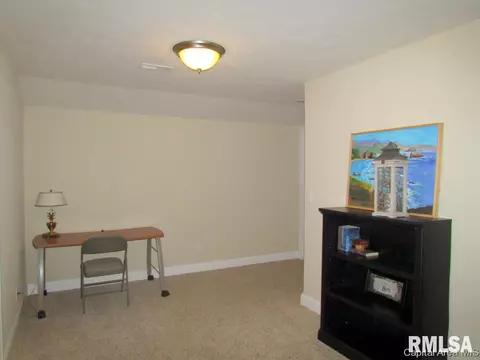 2914 Cronin, Springfield, IL 62711 photo 19