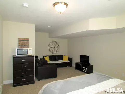 2914 Cronin, Springfield, IL 62711 photo 23