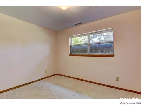 45 Pakey Rd, Springfield, IL 62712 photo 20