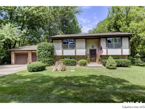 45 Pakey Rd, Springfield, IL 62712 photo 1