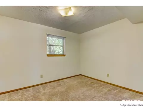 45 Pakey Rd, Springfield, IL 62712 photo 23