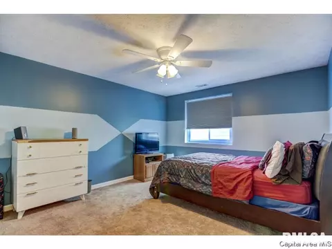 2919 S Meadowbrook #12, Springfield, IL 62711 photo 19