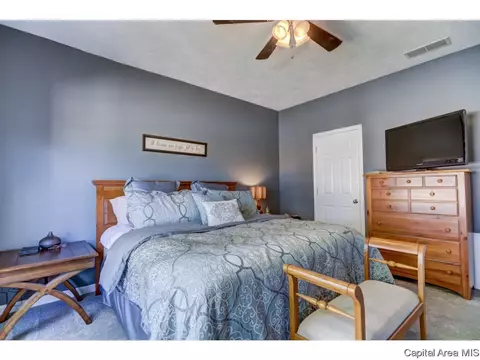 2919 S Meadowbrook #12, Springfield, IL 62711 photo 15