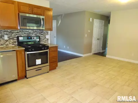 1632 E Walnut St, Chatham, IL 62629 photo 12