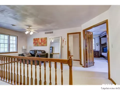 3205 Red Bud Ln, Springfield, IL 62712 photo 14