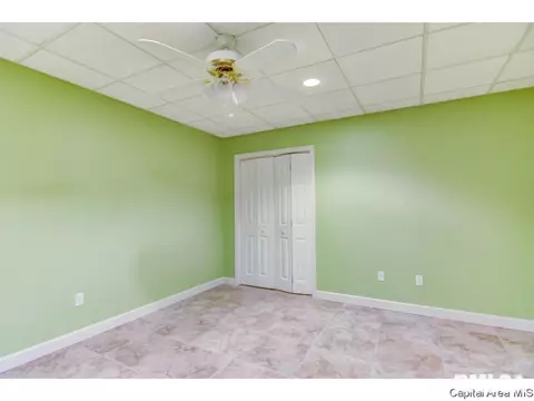 5217 Wildcat Run, Springfield, IL 62711 photo 36
