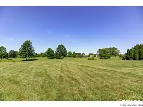 5217 Wildcat Run, Springfield, IL 62711 photo 20