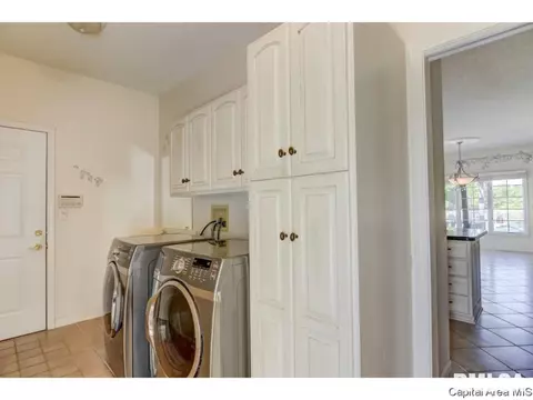 5217 Wildcat Run, Springfield, IL 62711 photo 23