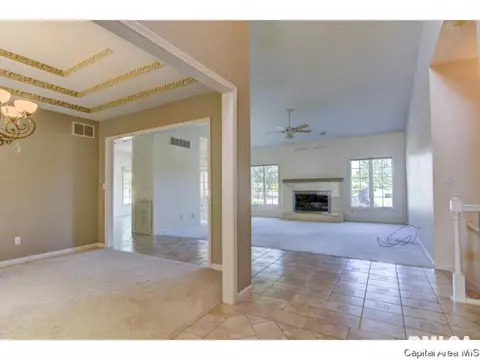 5217 Wildcat Run, Springfield, IL 62711 photo 11
