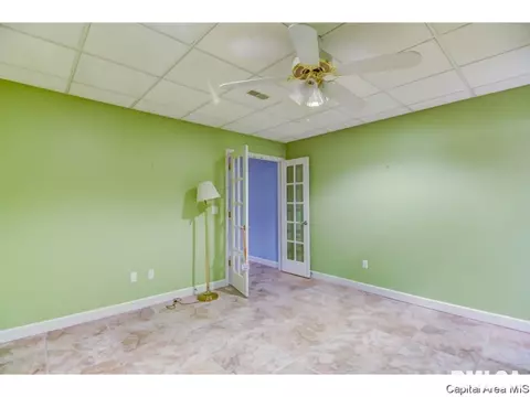 5217 Wildcat Run, Springfield, IL 62711 photo 35