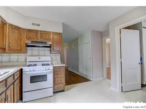 2328 S Spring St, Springfield, IL 62704 photo 11