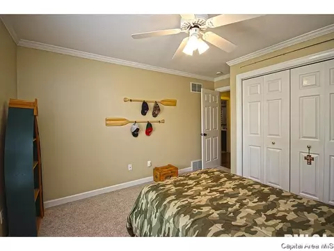 3924 Greenfield Dr, Springfield, IL 62704 photo 17