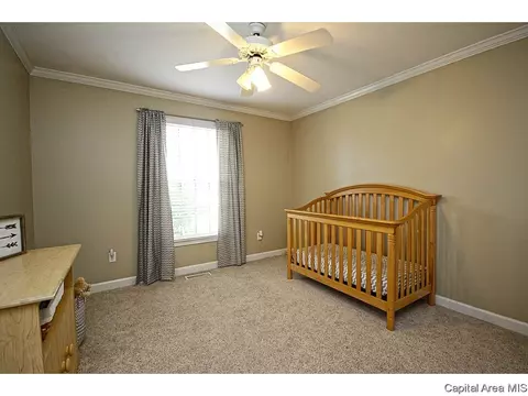 3924 Greenfield Dr, Springfield, IL 62704 photo 20