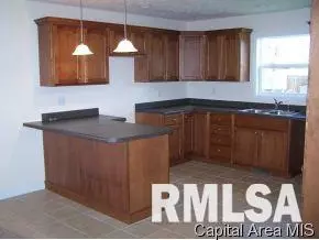 301 E Sycamore, Thayer, IL 62689 photo 4