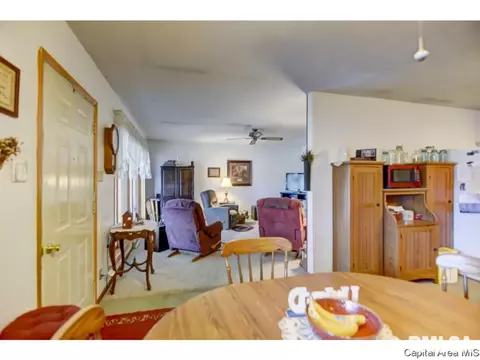 804 E Seventh St, Pana, IL 62557 photo 18