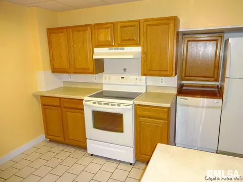 1604 S Pasfield St, Springfield, IL 62704 photo 14