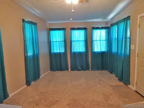 1604 S Pasfield St, Springfield, IL 62704 photo 19