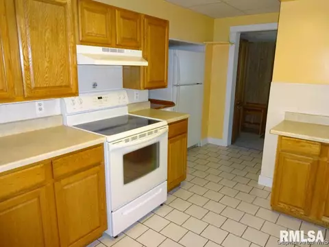 1604 S Pasfield St, Springfield, IL 62704 photo 12