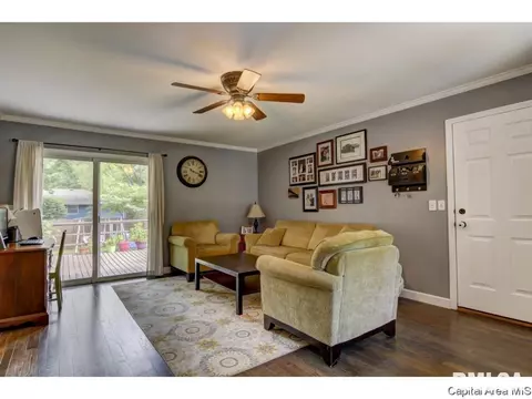 113 Pinehurst Dr, Springfield, IL 62704 photo 11