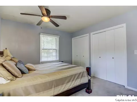 113 Pinehurst Dr, Springfield, IL 62704 photo 23