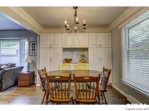 113 Pinehurst Dr, Springfield, IL 62704 photo 19