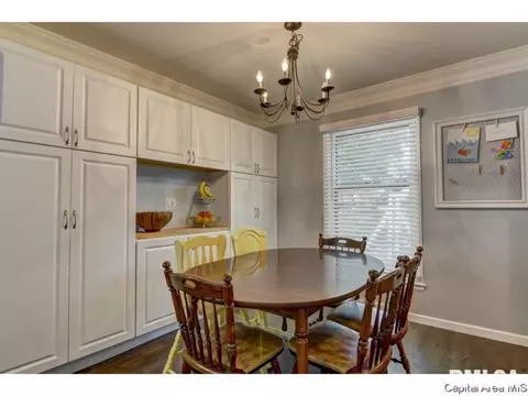 113 Pinehurst Dr, Springfield, IL 62704 photo 20