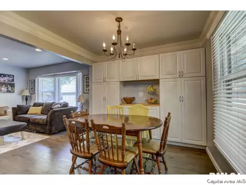 113 Pinehurst Dr, Springfield, IL 62704 photo 17