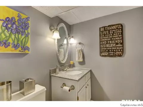 113 Pinehurst Dr, Springfield, IL 62704 photo 35
