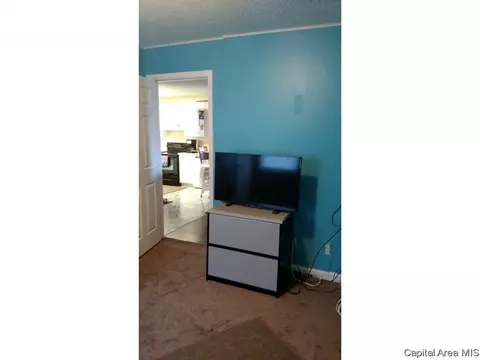 2817 S 15th St, Springfield, IL 62703 photo 8