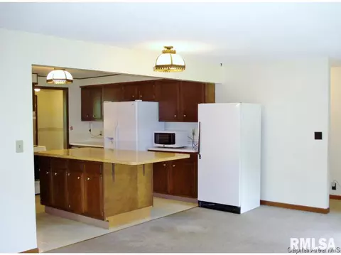 1622 Angling Rd, Alexis, IL 61412 photo 27