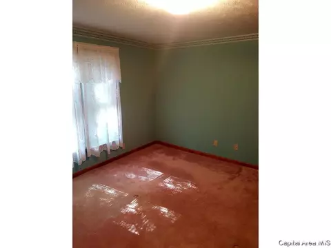 1228 N Ledlie Ave, Springfield, IL 62702 photo 14