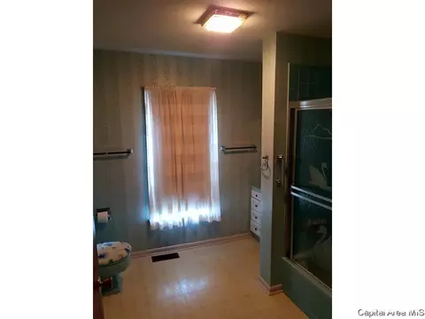 1228 N Ledlie Ave, Springfield, IL 62702 photo 15