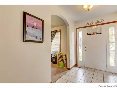3064 Buena Vista Dr, Springfield, IL 62707 photo 5