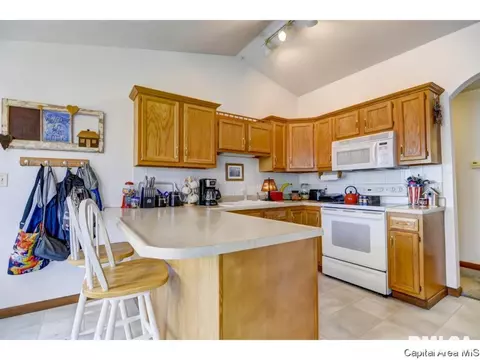 3064 Buena Vista Dr, Springfield, IL 62707 photo 9