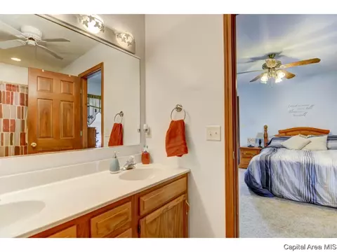 3064 Buena Vista Dr, Springfield, IL 62707 photo 17