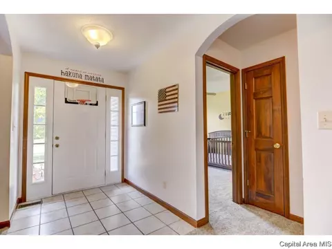 3064 Buena Vista Dr, Springfield, IL 62707 photo 4