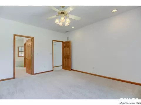 3921 Stone Brg, Springfield, IL 62711 photo 24