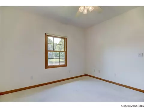 3921 Stone Brg, Springfield, IL 62711 photo 19