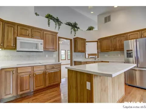 3921 Stone Brg, Springfield, IL 62711 photo 10