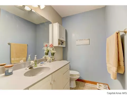 412 S Main St, Chatham, IL 62629 photo 20