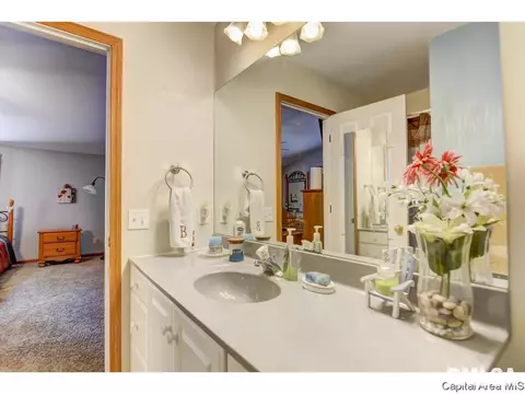 412 S Main St, Chatham, IL 62629 photo 19