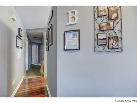 412 S Main St, Chatham, IL 62629 photo 15
